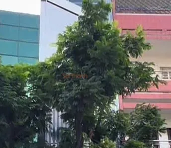 Hình ảnh Bán Nhà Mặt Tiền 12 Nguyễn Thiện Thuật, P2, Quận 3