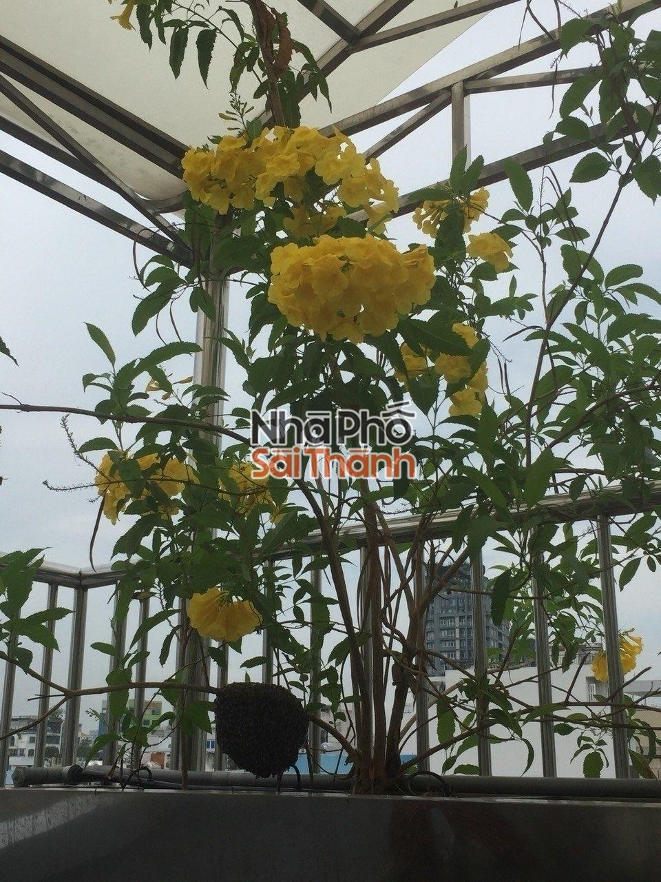 Hình ảnh Bán Nhà Mặt Tiền 14-16 Calmette, Bến Thành