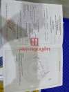 117-thanh-thai1-1