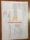 25-1-xuan-thuy-6