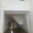 422a373e75a0ffa7ca7f0c3970dc1f1e992a9a99