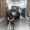 d0ea4510719c2587ceb3be97ac95562dc5cc7e02