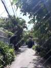 53-duong-so-2-thao-dien-3
