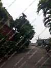 77-duong-so-1-thao-dien-15