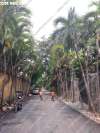 77-duong-so-1-thao-dien-2