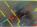 bbd58a6b513ae764be2b5.jpg