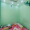 d7dee5934320d54316146d777a62d20f2a603093