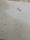 z7685444562973_75ec0a30f835406c959585c22ab06f72