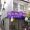 Hình ảnh Bán nhà hẻm 159/32 Phạm Thế Hiển Phường Chánh Hưng Tp Hồ Chí Minh