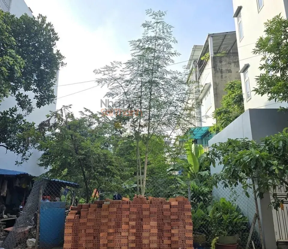 Hình ảnh Bán đất H9 Phạm Đôn Lễ Phường Cát Lái