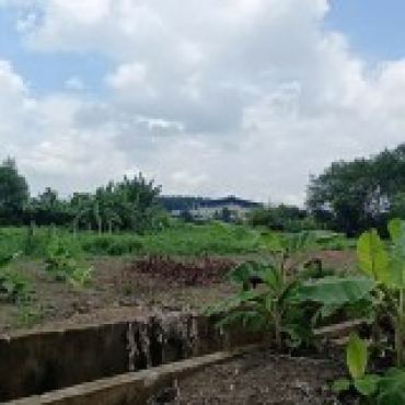 Hình ảnh Bán đất thửa 60 tờ 73 60 Tờ 73 Xã Nhuận Đức Tp Hồ Chí Minh