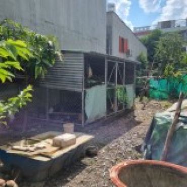 Hình ảnh Bán đất thửa 681 tờ 20 Huỳnh Thị Hai Phường Trung Mỹ Tây Tp Hồ Chí Minh