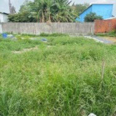 Hình ảnh Bán đất thửa 1702 tờ 50 Ấp Thái Tây 2 ) Tân Hiệp 14 Xã Đông Thạnh Tp Hồ Chí Minh
