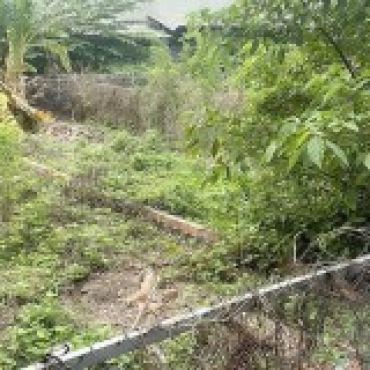 Hình ảnh Bán đất thửa 526 tờ 14 Một phần của Xã Bà Điểm Tp Hồ Chí Minh
