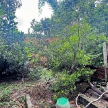 Hình ảnh Bán nhà 20 Đường số 500 (Thửa 532 Tờ 02) + Đường số 500 (Thửa 525 Tờ 02) Xã An Nhơn Tây Tp Hồ Chí Minh