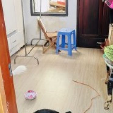 Hình ảnh Bán nhà hẻm 147/17 Lê Đình Thám Phường Tân Phú Tp Hồ Chí Minh