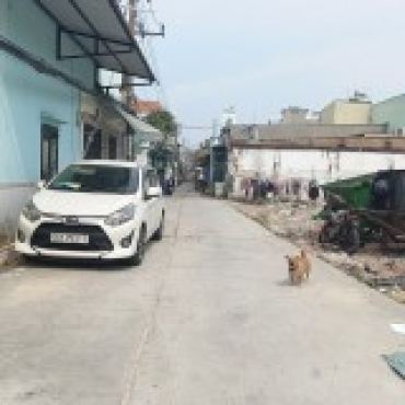 Hình ảnh Bán đất thửa 733 tờ 17 Lê Đình Cẩn Phường Tân Tạo Tp Hồ Chí Minh