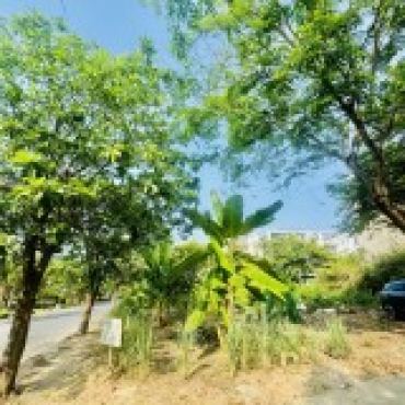 Hình ảnh Bán đất thửa 972 tờ 9 Huỳnh Tấn Phát Xã Nhà Bè Tp Hồ Chí Minh