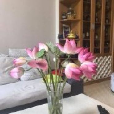 Hình ảnh Bán nhà 56 Đường số 5 Khu dân cư Cityland Phường An Nhơn Tp Hồ Chí Minh