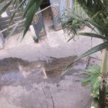 Hình ảnh Bán nhà hẻm 338/75 Âu Cơ Phường Tây Thạnh Tp Hồ Chí Minh