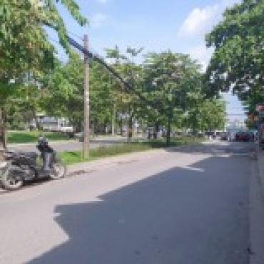 Hình ảnh Bán đất thửa 547 tờ 13 547 tờ 13 Phường An Phú Đông Tp Hồ Chí Minh