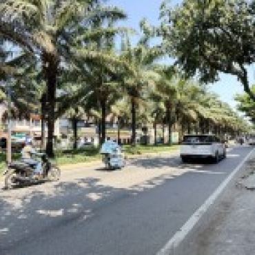Hình ảnh Bán chung cư Đường Số 9A KDC Trung Sơn Xã Bình Hưng Tp Hồ Chí Minh