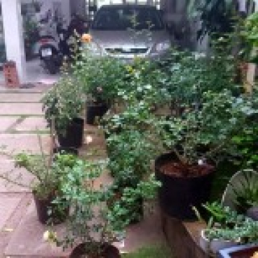 Hình ảnh Bán nhà hẻm 57/2 Đường số 7 Phường Hiệp Bình Tp Hồ Chí Minh
