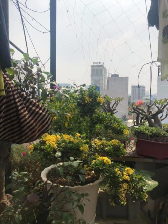 Hình ảnh Bán nhà hẻm 156/26 Đặng Nguyên Cẩn, phường Phú Lâm