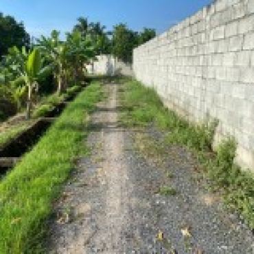 Hình ảnh Bán đất thửa 118 tờ 88 Thửa 118 Tờ 88 Xã Tân An Hội Tp Hồ Chí Minh