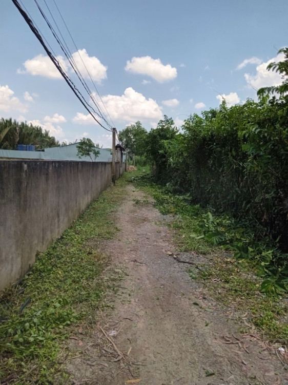 Hình ảnh Bán thửa 530 tờ 51 Lê Văn Lương xã Hiệp Phước