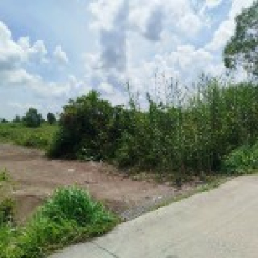 Hình ảnh Bán đất thửa 661 tờ 43 661 tờ 43 Xã Vĩnh Lộc Tp Hồ Chí Minh