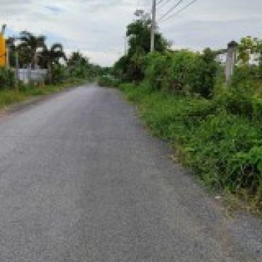 Hình ảnh Bán nhà Thửa 583 tờ 39 Thửa 583 tờ Xã Bình Chánh Tp Hồ Chí Minh