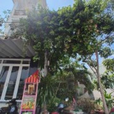 Hình ảnh Bán đất 28/31 Thạnh Lộc 31, Mặt tiền Thạnh Lộc 19 Phường An Phú Đông Tp Hồ Chí Minh