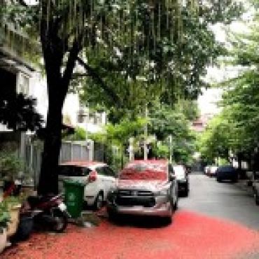 Hình ảnh Bán nhà hẻm 766/1B Sư Vạn Hạnh Phường Hòa Hưng Tp Hồ Chí Minh