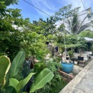 Hình ảnh Bán đất thửa 618 tờ 7 Đường số 25 Phường Cát Lái Tp Hồ Chí Minh