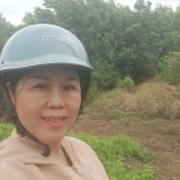 Hình ảnh Bán đất thửa 39 tờ 81 Mặt phố Xã Xuân Thới Sơn Tp Hồ Chí Minh