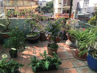 Hình ảnh Bán nhà 150 Đại Lộ 2 Phường Phước Long Tp Hồ Chí Minh