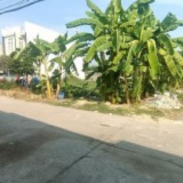 Hình ảnh Bán đất thửa 802 tờ 61 Đường Số 505 Xã Đông Thạnh Tp Hồ Chí Minh