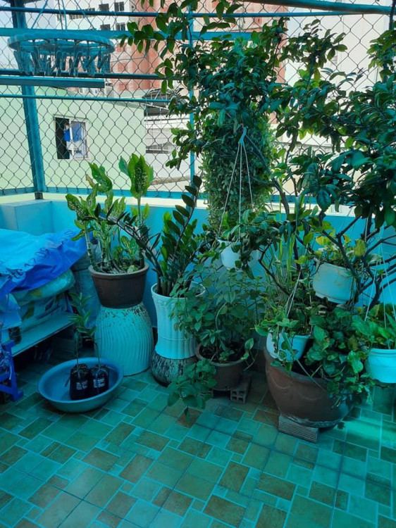 Hình ảnh Bán nhà hẻm 490/43/9 Lý Thái Tổ, phường Vườn Lài
