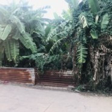 Hình ảnh Bán đất thửa 516 tờ 22 516 tờ 22 Phường Long Trường Tp Hồ Chí Minh