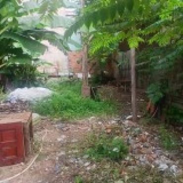 Hình ảnh Bán đất thửa 810 tờ 31 Đất HXH Trung Mỹ Tây 2A Phường Trung Mỹ Tây Tp Hồ Chí Minh
