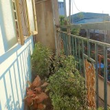 Hình ảnh Bán nhà hẻm A7/5B Thửa 530 Tờ 178 Xã Tân Vĩnh Lộc Tp Hồ Chí Minh