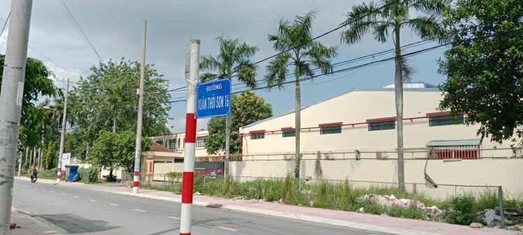 Hình ảnh Bán Thưa 771 Tờ 19 Xuân Thới Sơn 16, xã Xuân Thới Sơn