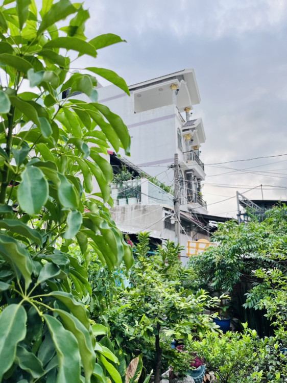 Hình ảnh Bán nhà mặt tiền 288f Tạ Quang Bửu, Phường Chánh Hưng