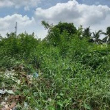 Hình ảnh Bán đất thửa 623 tờ 34 MĐ Đường Số 7 Phường Long Trường Tp Hồ Chí Minh