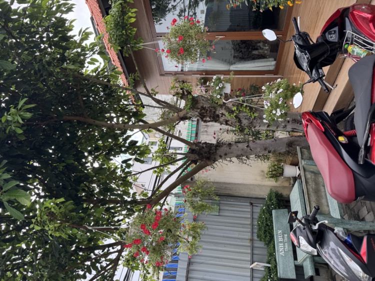 Hình ảnh Bán nhà hẻm 27/9a Đông Hưng Thuận 23, Phường Đông Hưng Thuận