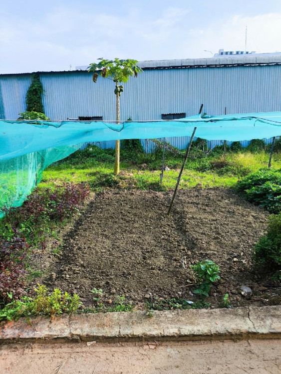 Hình ảnh Bán Thửa đất số 595 tờ bản đồ số 34 Nguyễn Duy Trinh, Phường Long Phước