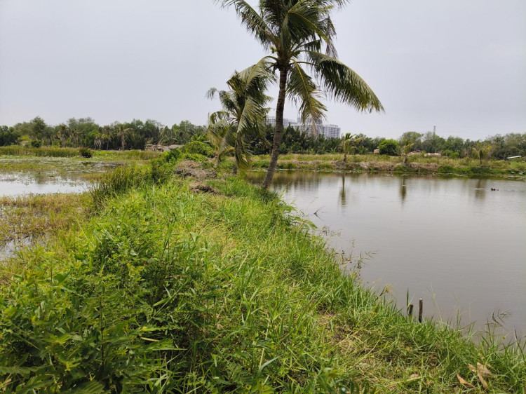 Hình ảnh Bán đất hẻm 168 Tam Đa, Phường Long Trường