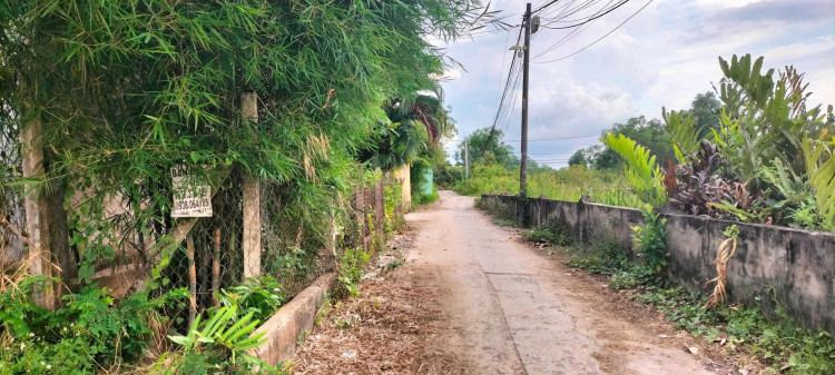 Hình ảnh Bán Thửa 1042, tờ 12  đường số 8, Phường Long Phước