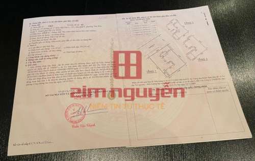 Hình ảnh Bán biệt thự số 3 Đường số 17 Mỹ Gia 2 S5 P.Tân Phú, Quận 7